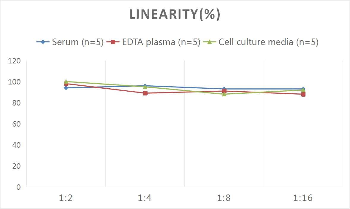 Rat Plasmin-Antiplasmin Complex, PAP ELISA Kit (Colorimetric)