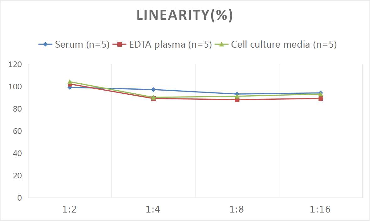 Rat CD36 ELISA Kit (Colorimetric)