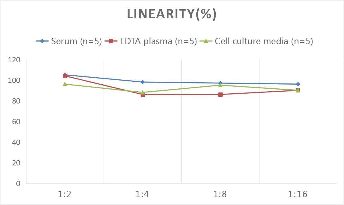 Mouse Elastin ELISA Kit (Colorimetric)