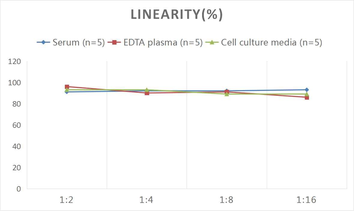 Mouse Tyrosine Hydroxylase ELISA Kit (Colorimetric)