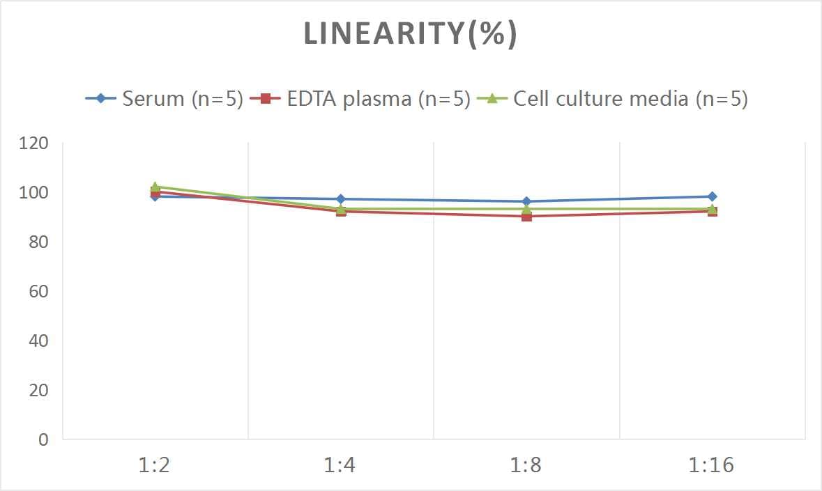 Mouse MMP-10 ELISA Kit (Colorimetric)