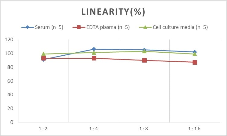 Mouse MMP-11 ELISA Kit (Colorimetric)