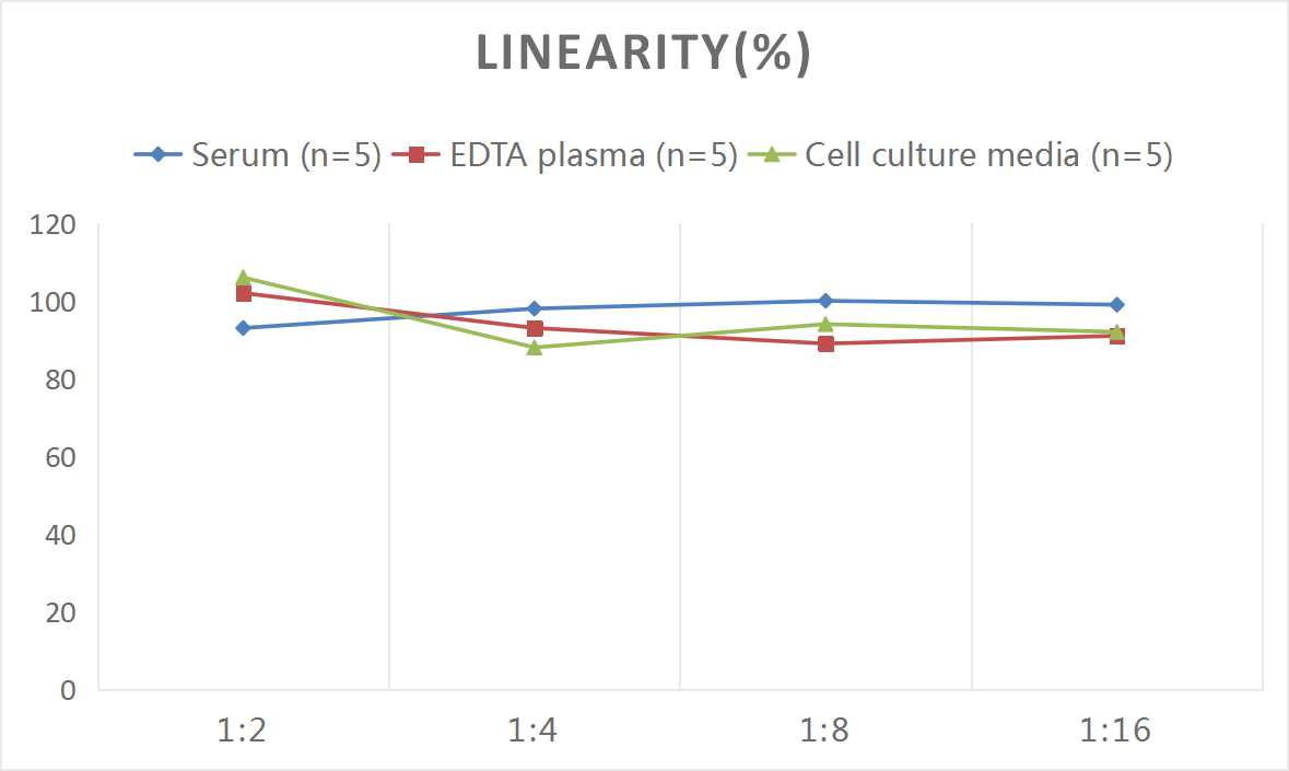Human MMP-15/MT2-MMP ELISA Kit (Colorimetric)