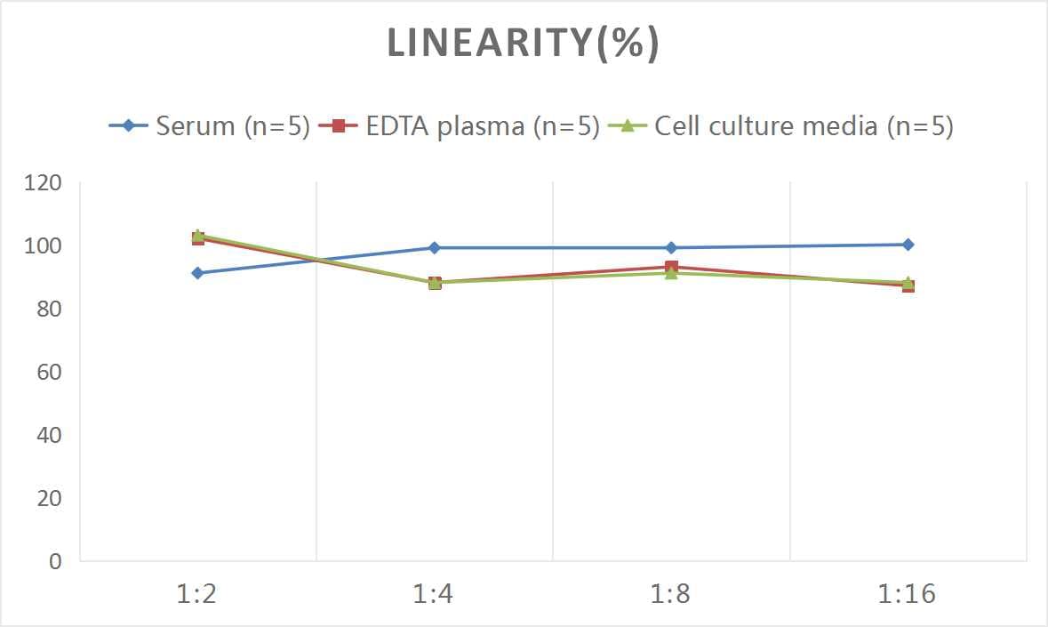 Human MMP23B ELISA Kit (Colorimetric)
