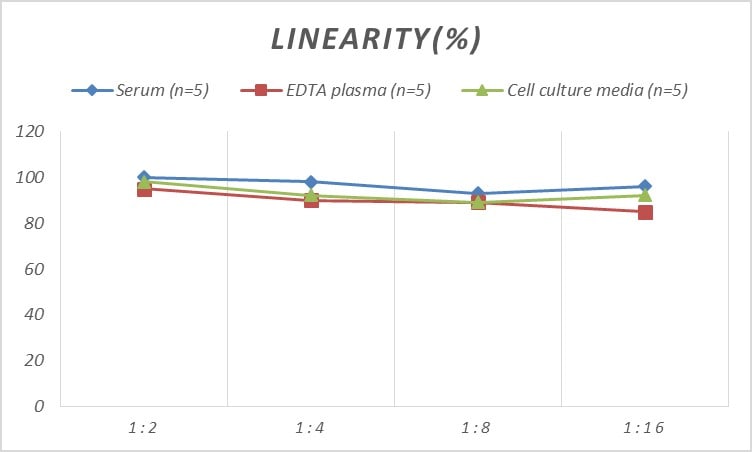 Mouse CD117/c-kit ELISA Kit (Colorimetric)