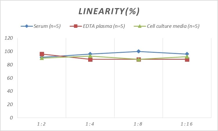 Rat Carboxypeptidase B2/CPB2 ELISA Kit (Colorimetric)
