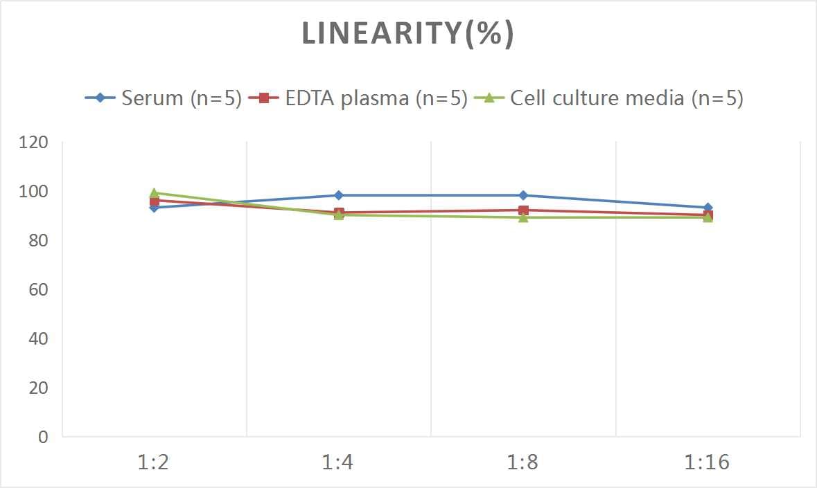 Rat TfR (Transferrin R) ELISA Kit (Colorimetric)