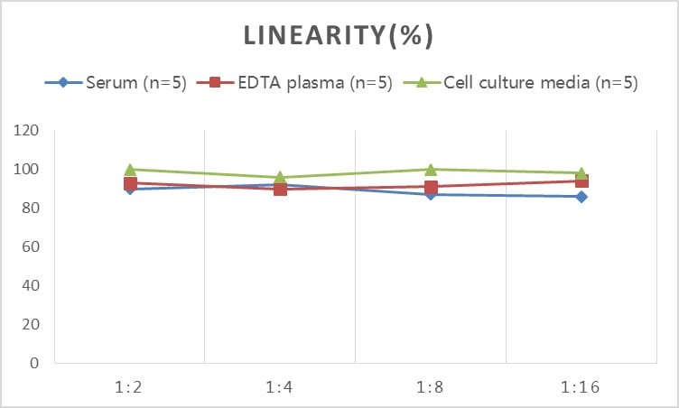 Rabbit MMP-9 ELISA Kit (Colorimetric)