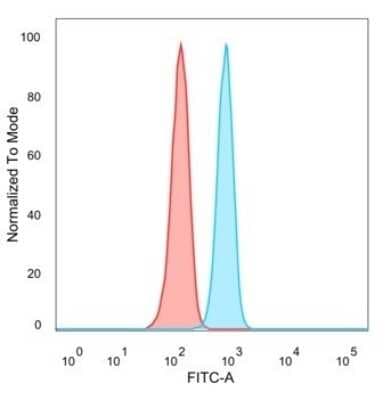 RXR beta/NR2B2 Antibody (PCRP-RXRB-2B6)