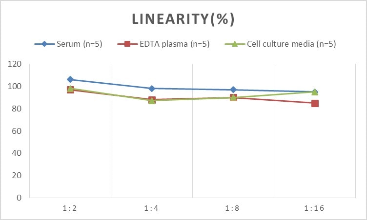 Human PCDHB16 ELISA Kit (Colorimetric)