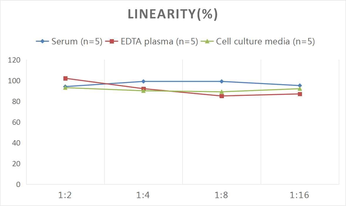 Human BMP-3b/GDF-10 ELISA Kit (Colorimetric)