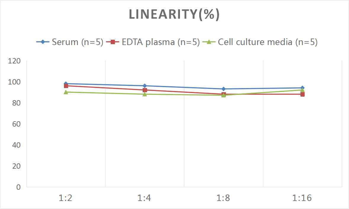 Mouse BMP-3b/GDF-10 ELISA Kit (Colorimetric)