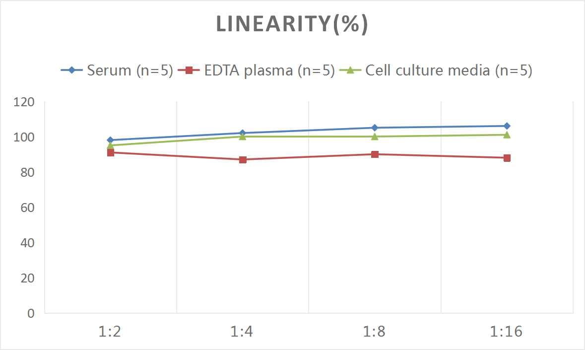Mouse Growth Hormone ELISA Kit (Colorimetric)
