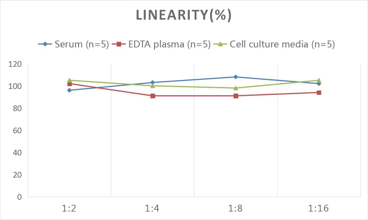 Rat CCL4/MIP-1 beta ELISA Kit (Colorimetric)