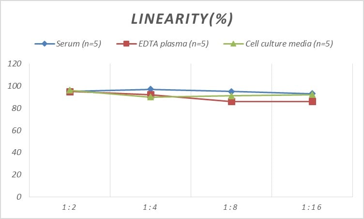 Human Myogenin ELISA Kit (Colorimetric)