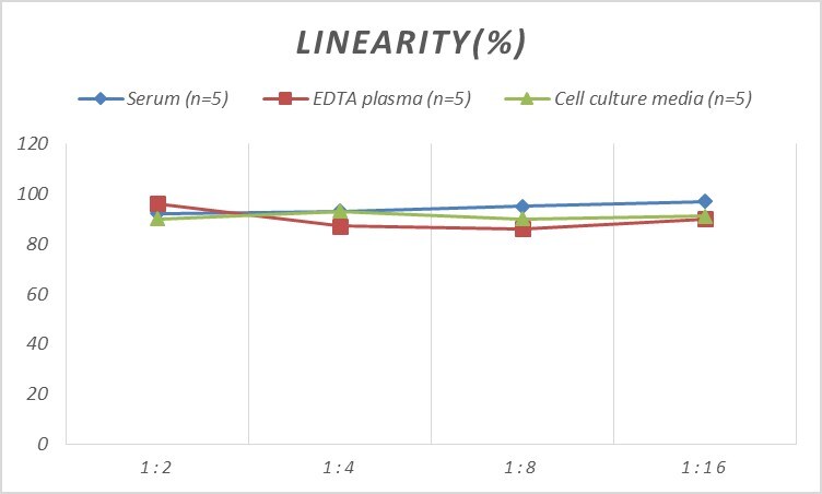 Human PCDHGA2 ELISA Kit (Colorimetric)