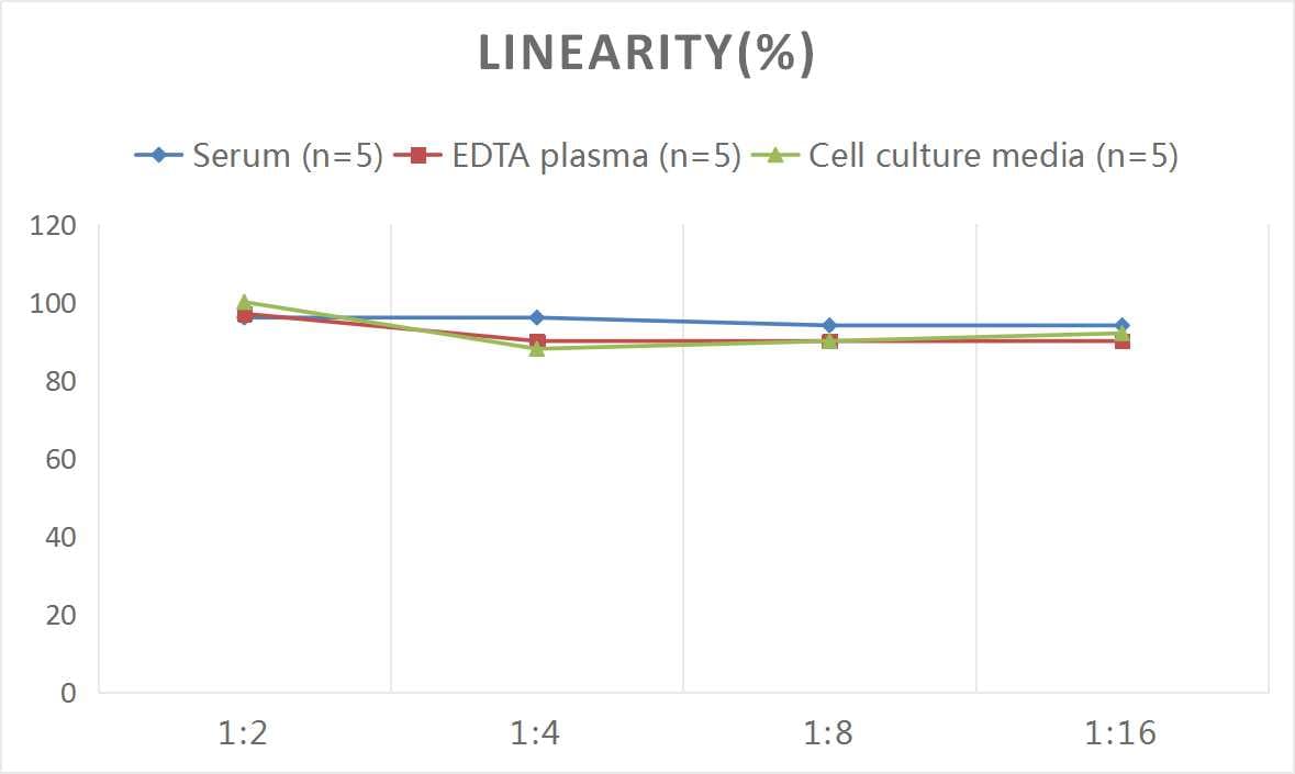 Human TACE/ADAM17 ELISA Kit (Colorimetric)