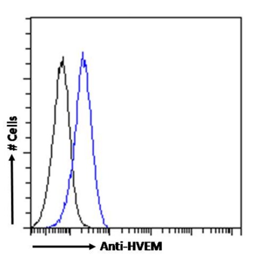 HVEM/TNFRSF14 Antibody (HMHV-1B18) - Chimeric - Azide and BSA Free