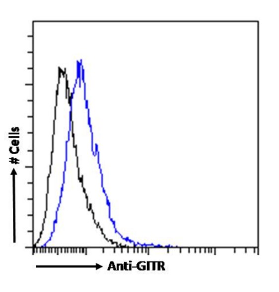 GITR/TNFRSF18 Antibody (DTA-1) - Chimeric - Azide and BSA Free