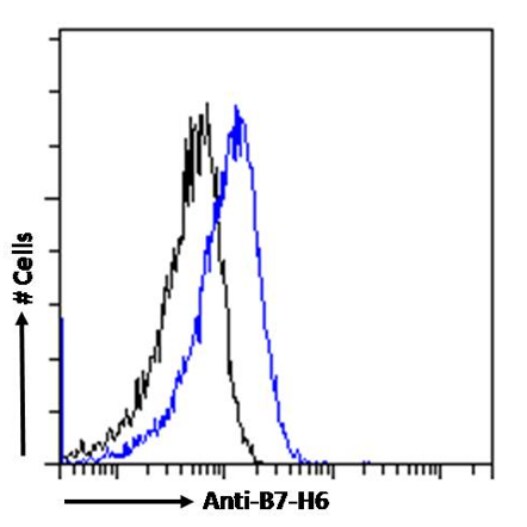 B7-H6 Antibody (17B1.3) - Chimeric - Azide and BSA Free
