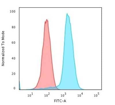 Fascin Antibody (SPM133) - Azide and BSA Free Flow Cytometry: Fascin Antibody (SPM133) - Azide and BSA Free [NBP3-11444] -