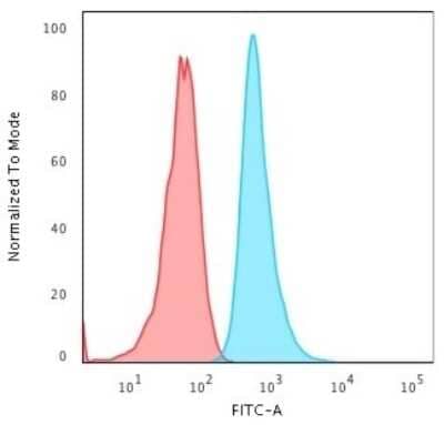 Cytokeratin 6a Antibody (KRT6A/2368) - Azide and BSA Free Flow Cytometry: Cytokeratin 6a Antibody (KRT6A/2368) - Azide and BSA Free [NBP3-11521] -