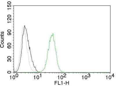 CD31/PECAM-1 Antibody (C31.10) - Azide and BSA Free Flow Cytometry: CD31/PECAM-1 Antibody (C31.10) - Azide and BSA Free [NBP3-11580] -