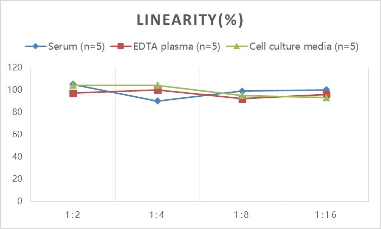Human BMP-1/PCP ELISA Kit (Colorimetric)