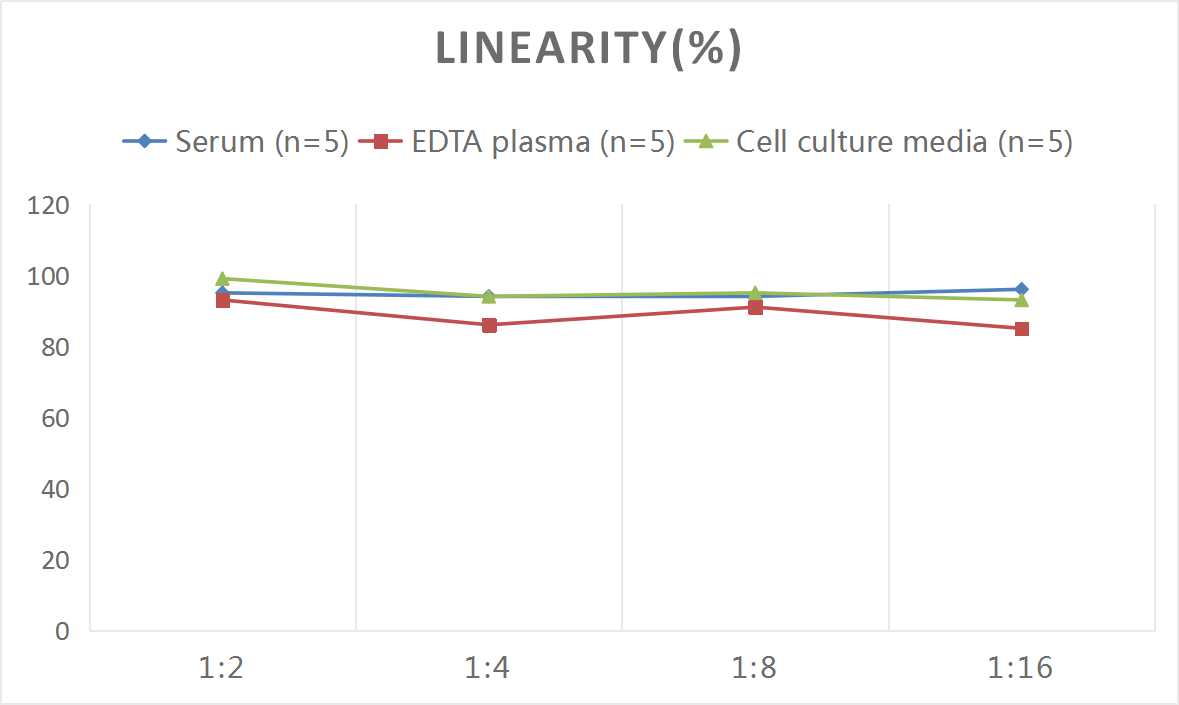 Human CD21/CD35 ELISA Kit (Colorimetric)