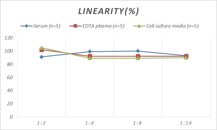 Human Gastrin ELISA Kit (Colorimetric)