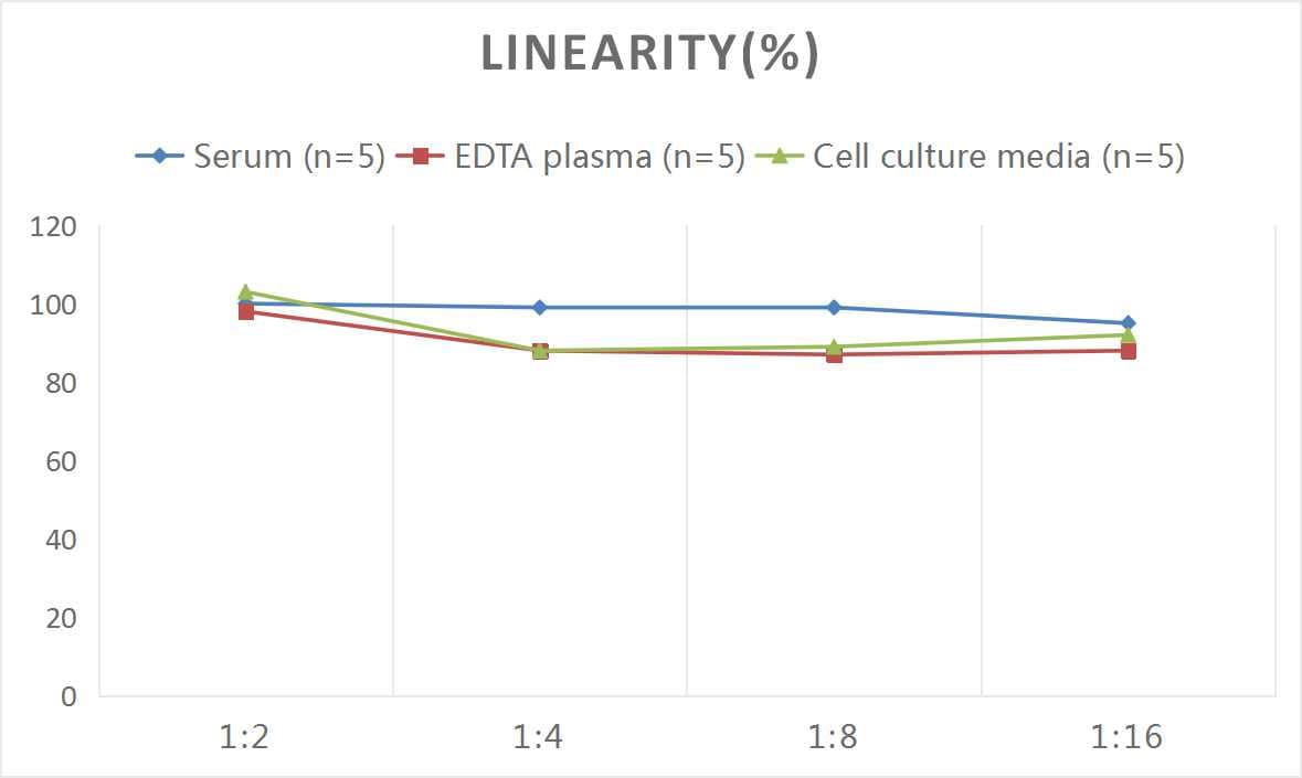 Mouse Granzyme B ELISA Kit (Colorimetric)