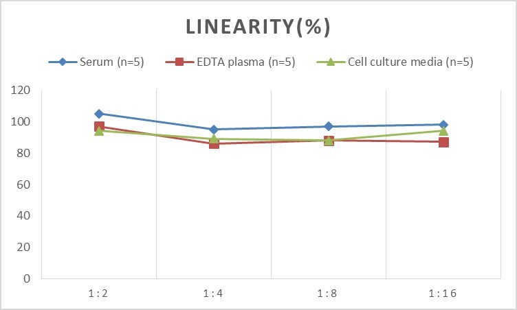 Rat Granzyme A ELISA Kit (Colorimetric)