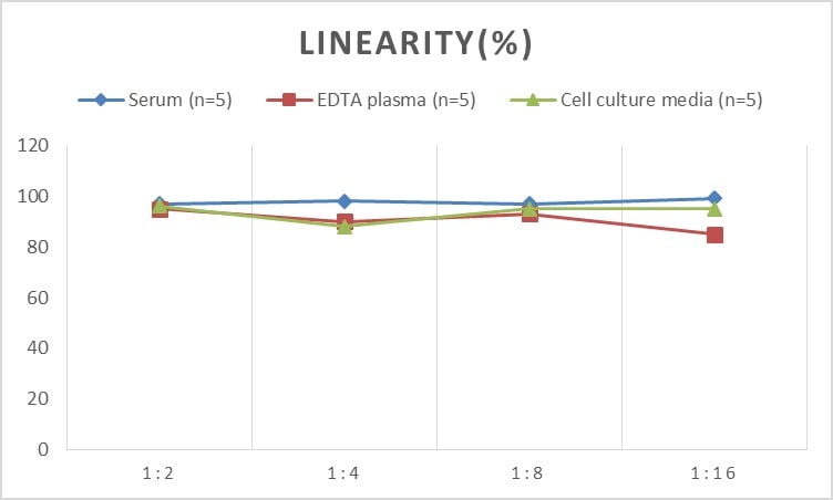 Human Glycogen synthase 2 ELISA Kit (Colorimetric)