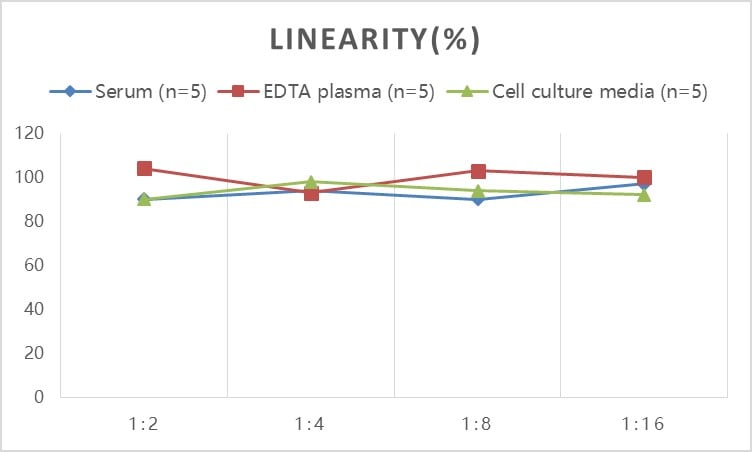 Rat CXCL12/SDF-1 ELISA Kit (Colorimetric)