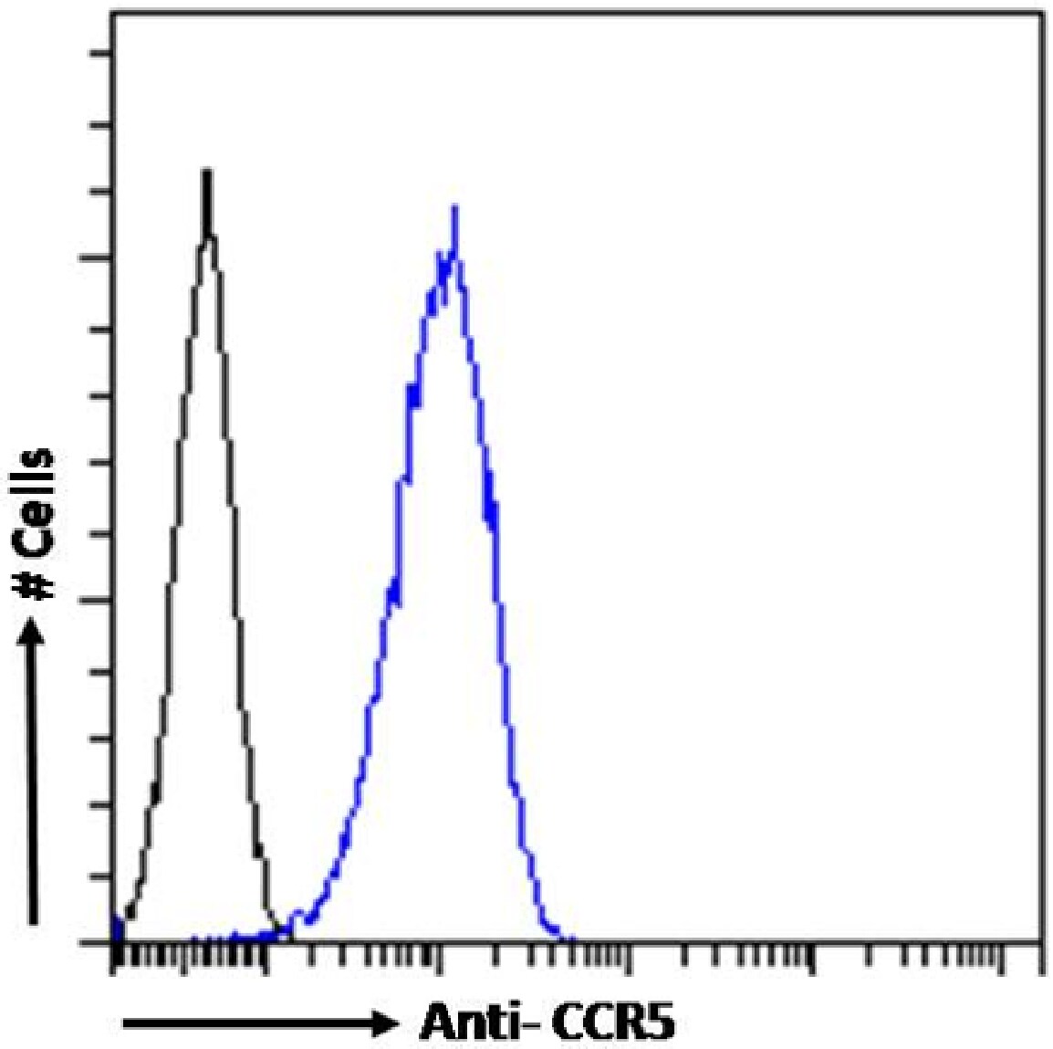 CCR5 [p Ser337] Antibody (V14/2) - Chimeric - Azide and BSA Free