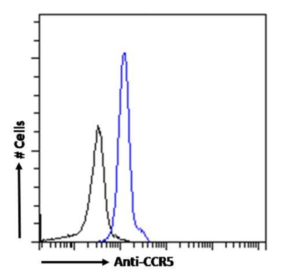 CCR5 Antibody (RC-10) - Chimeric - Azide and BSA Free