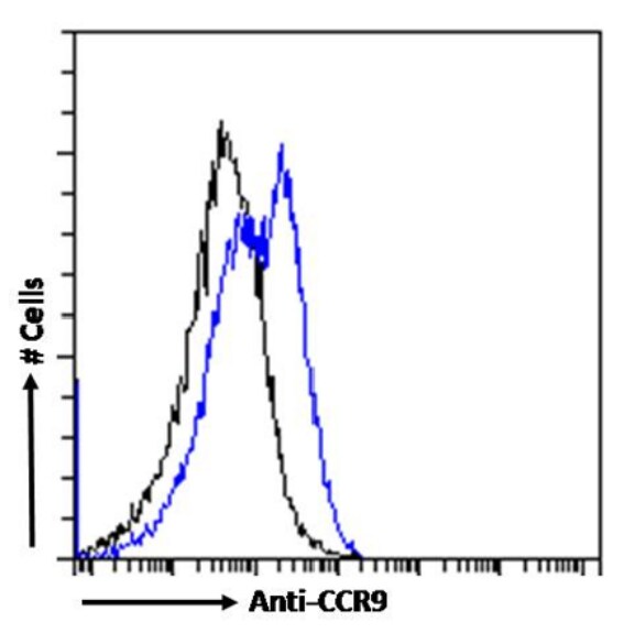 CCR9 Antibody (9B1) - Chimeric - Azide and BSA Free