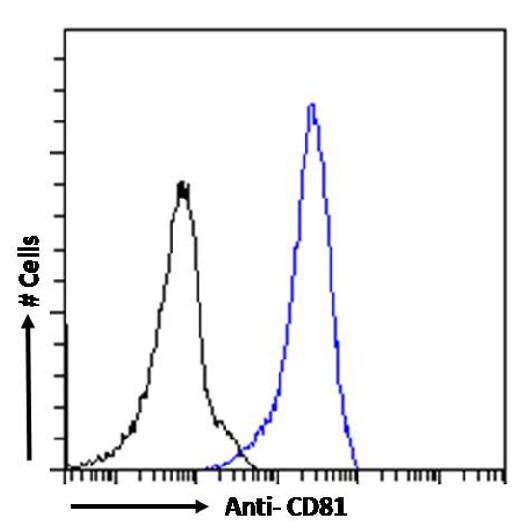 CD81 Antibody (1.3.3.22) - Chimeric - Azide and BSA Free