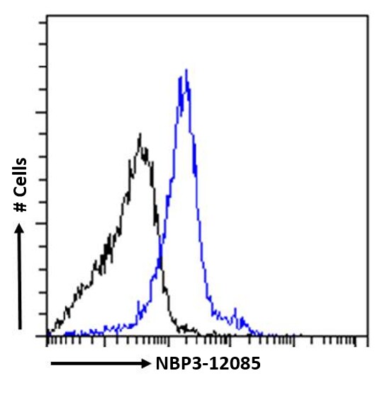 Complement Component C5aR1 Antibody (32-G1) - Chimeric - Azide and BSA Free
