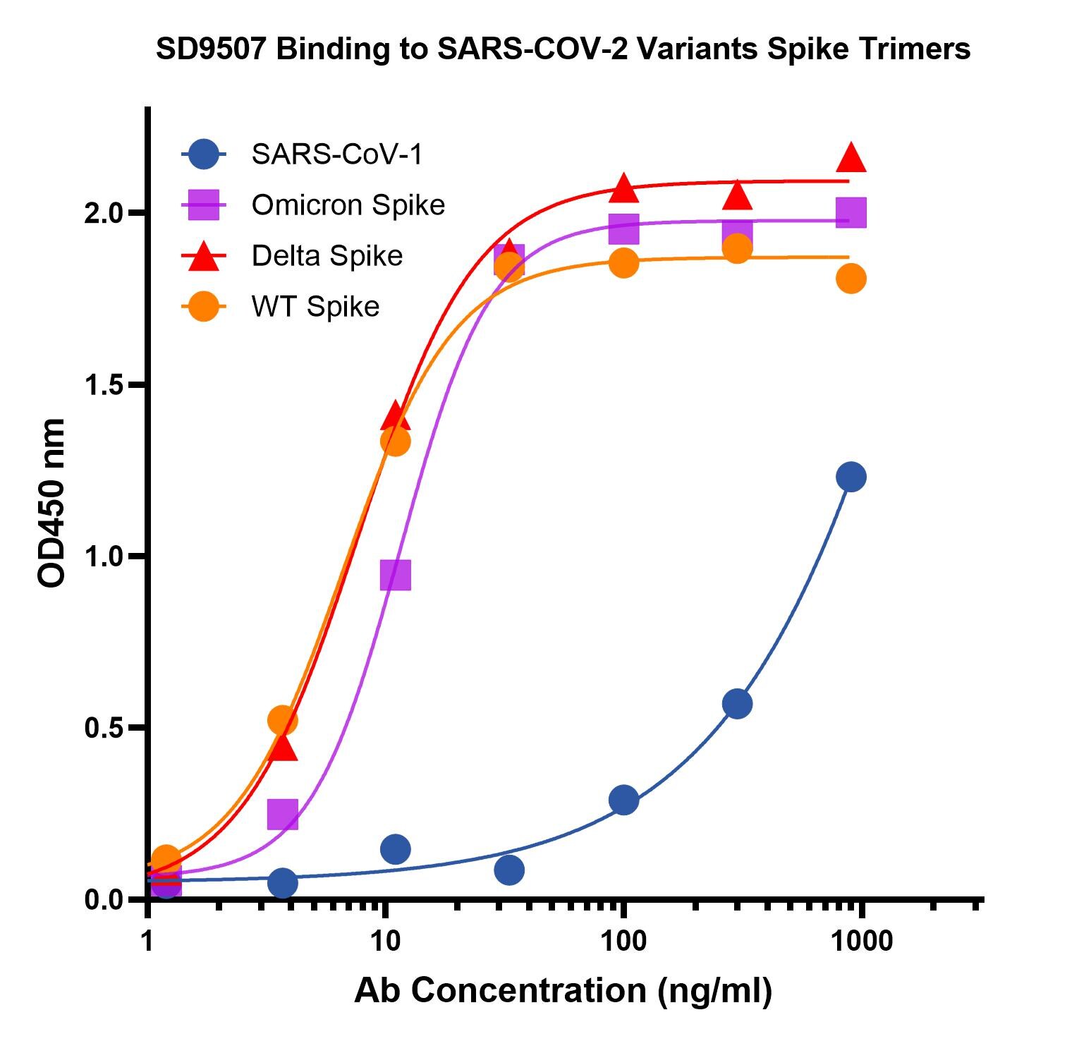 SARS-CoV-2 Spike RBD Antibody (T4P5-H12) - VHH - Azide and BSA Free