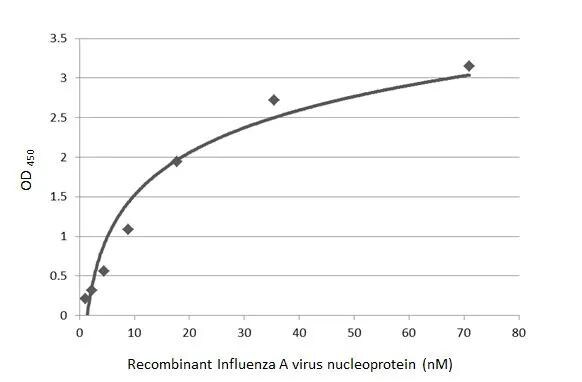Influenza A H1N1 Nucleoprotein Antibody (GT1236) - (A/WSN/1933) - Azide and BSA Free