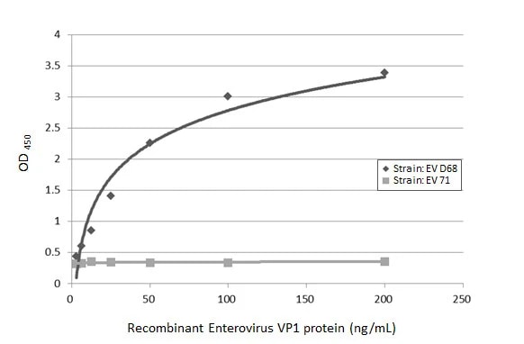 Enterovirus D68 VP1 Antibody (GT1843)