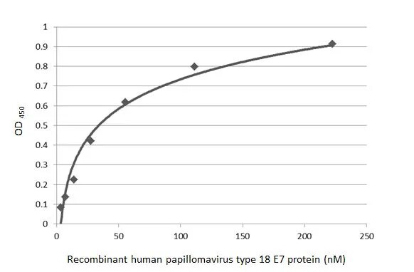 HPV18 E7 Antibody (GT881)