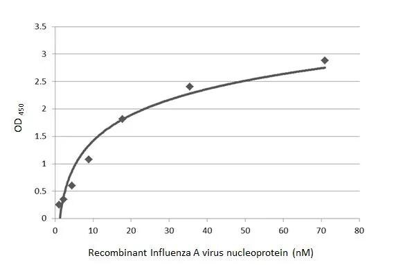Influenza A nucleoprotein Antibody (HL1098) - Azide and BSA Free