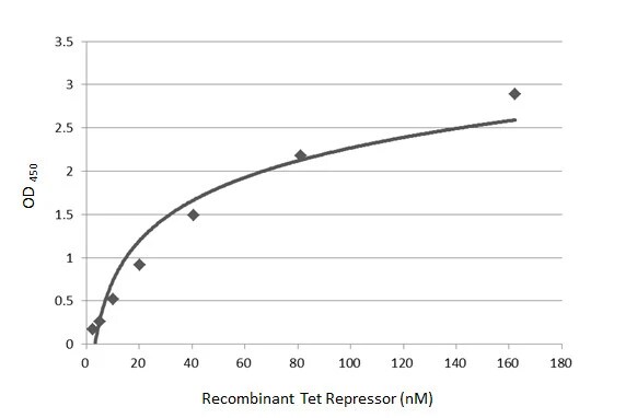 TetR Antibody