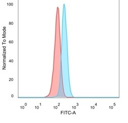 NFIA Antibody (PCRP-NFIA-2C6) - Azide and BSA Free Flow Cytometry: NFIA Antibody (PCRP-NFIA-2C6) - Azide and BSA Free [NBP3-14016] -