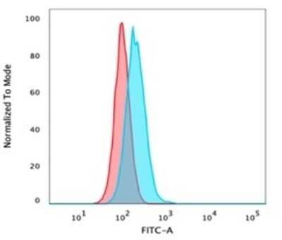 p40/deltaNp63 Antibody (P40/4396R) - Azide and BSA Free Flow Cytometry: p40/deltaNp63 Antibody (P40/4396R) - Azide and BSA Free [NBP3-14050] -