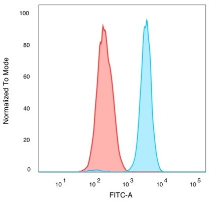 QKI/Quaking Antibody (PCRP-QKI-2F10) - Azide and BSA Free Flow Cytometry: QKI/Quaking Antibody (PCRP-QKI-2F10) - Azide and BSA Free [NBP3-14072] -