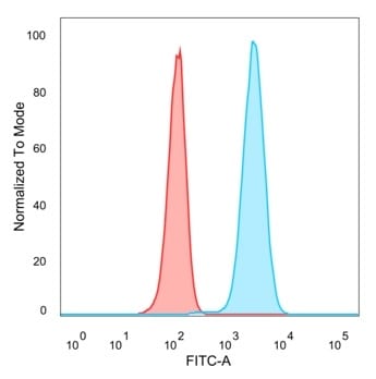 CREB5 Antibody (PCRP-CREB5-1G8) - Azide and BSA Free Flow Cytometry: CREB5 Antibody (PCRP-CREB5-1G8) - Azide and BSA Free [NBP3-14073] -