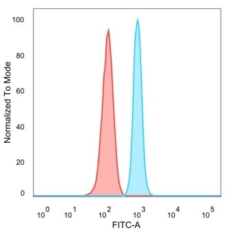 ZNF81 Antibody (PCRP-ZNF81-2G2) - Azide and BSA Free Flow Cytometry: ZNF81 Antibody (PCRP-ZNF81-2G2) - Azide and BSA Free [NBP3-14088] -
